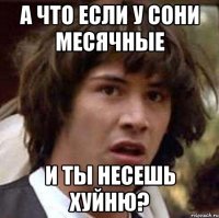 а что если у сони месячные и ты несешь хуйню?