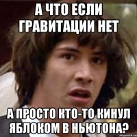 а что если гравитации нет а просто кто-то кинул яблоком в ньютона?