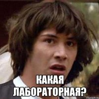  какая лабораторная?