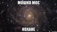 мошко моє кохане