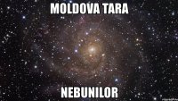 moldova tara nebunilor