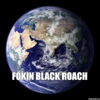 Fokin Black Roach 