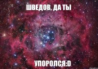 Шведов, да ты упоролся:D