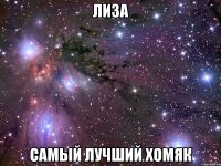 лиза самый лучший хомяк