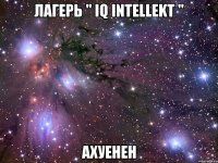 лагерь " iq intellekt " ахуенен