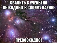 свалить с учебы на выходные к своему парню превосходно!