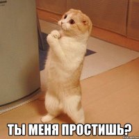  ты меня простишь?