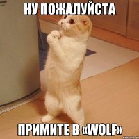 ну пожалуйста примите в «wolf»