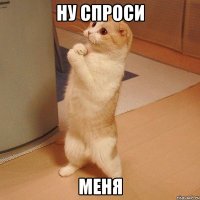 ну спроси меня