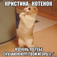 кристина , котенок я очень по тебе скучаююю!!! твой игорь)):-*