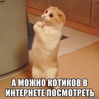  а можно котиков в интернете посмотреть