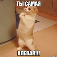 ты самая клевая!!!