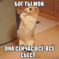 бог ты мой, она сейчас всё-всё сьест...