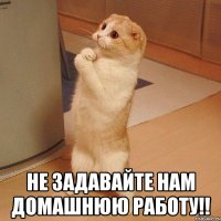  не задавайте нам домашнюю работу!!