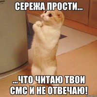 сережа прости... ...что читаю твои смс и не отвечаю!