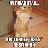 ну пжалстаа... поставьте "пять" пыхтиной