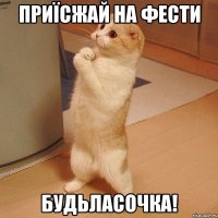 приїсжай на фести будьласочка!