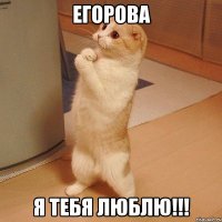 егорова я тебя люблю!!!