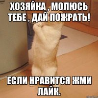 хозяйка , молюсь тебе , дай пожрать! если нравится жми лайк.