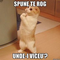 spune te rog unde-i viceu'?