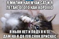 я милий как nyan cat и я летаю огого как xopoiiio я ньян кет и поду я к те дам-ка я до хуя скок врискас