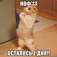 ноф'13 осталось 2 дня!!