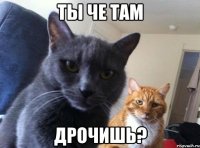 ты че там дрочишь?