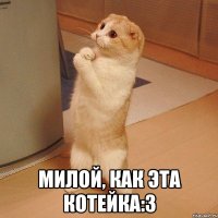  милой, как эта котейка:3