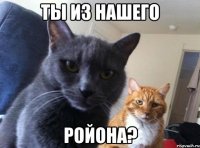 ты из нашего ройона?