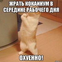 жрать кокаинум в середине рабочего дня охуенно!