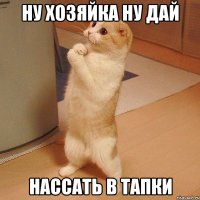 ну хозяйка ну дай нассать в тапки