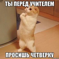 ты перед учителем просишь четверку