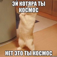 эй котяра ты космос нет это ты космос