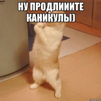 ну продлииите каникулы) 