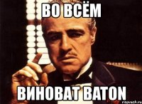 во всём виноват baton