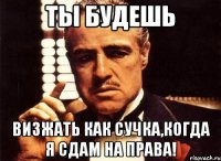 ты будешь визжать как сучка,когда я сдам на права!