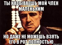 ты называешь мой член маленьким но даже не можешь взять его в рот полностью