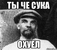 ты че сука охуел