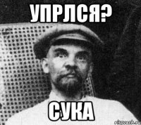 упрлся? сука