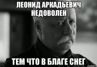 леонид аркадьевич недоволен тем что в благе снег