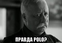  правда polo?