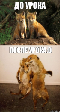 До урока После урока:D