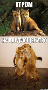 Утром На следующее утро