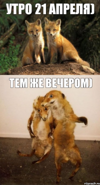 утро 21 апреля) Тем же вечером)