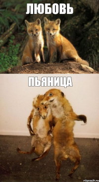 любовь пьяница