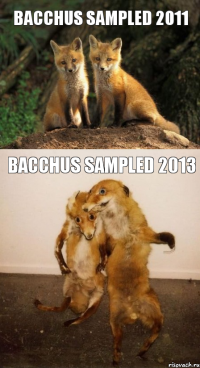 Bacchus sampled 2011 Bacchus sampled 2013