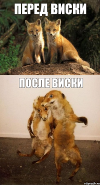 Перед Виски После Виски