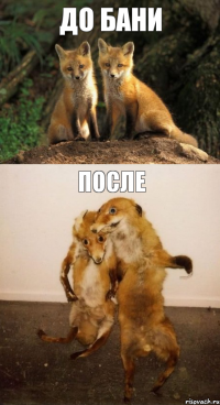 ДО БАНИ ПОСЛЕ