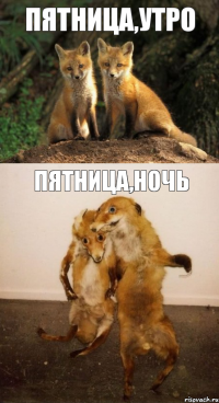 пятница,утро пятница,ночь