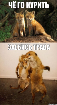 Чё го курить Заебись трава